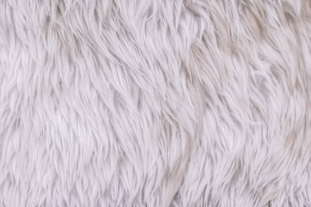 istock Close up white shaggy artificial fur texture or carpet for background. 1126592605