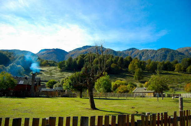 pascolo bestiame - bariloche argentina business patagonia foto e immagini stock