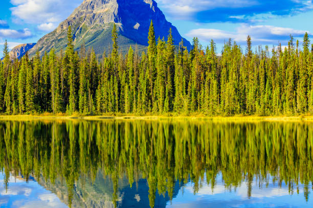 istock Jasper National Park in Alberta Canada 1126594505