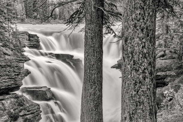 istock Jasper National Park in Alberta Canada 1126595348