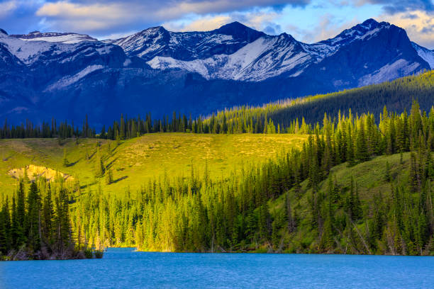 istock Jasper National Park in Alberta Canada 1126597516