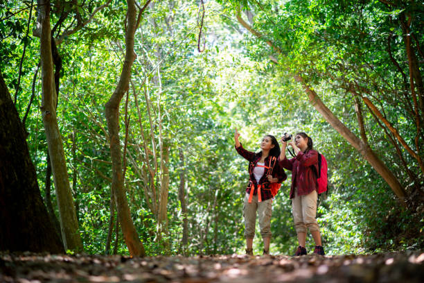 森林でのハイキング 2 つの若いアジア女性のヒップ - people traveling journey group of people hiking ストックフォトと画像