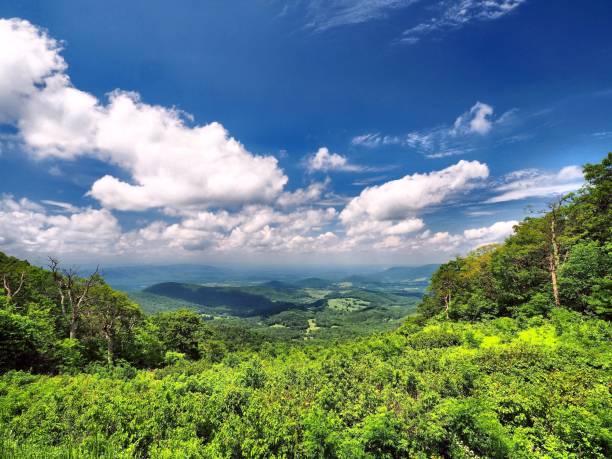 istock Mountain Vista in Shenandoah 1126599234