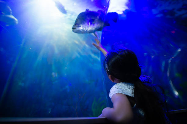 istock girl watching an aquarium 1126599258