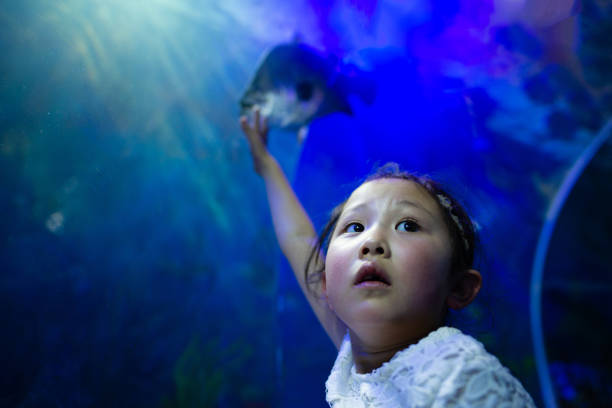 istock girl watching an aquarium 1126599290