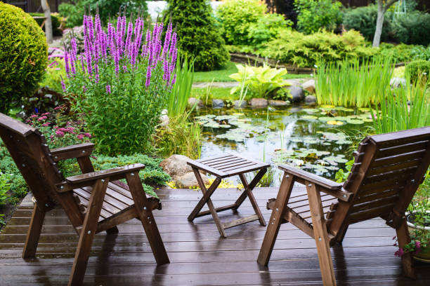 Garden furniture near the pond Garden chairs near the pond in a beautiful garden aquatic organism stock pictures, royalty-free photos & images