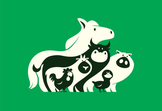 농장 동물의 실루엣의 그룹 - pig silhouette animal livestock stock illustrations