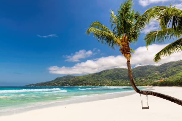 istock Famous Beau Vallon beach in Seychelles 1126610594