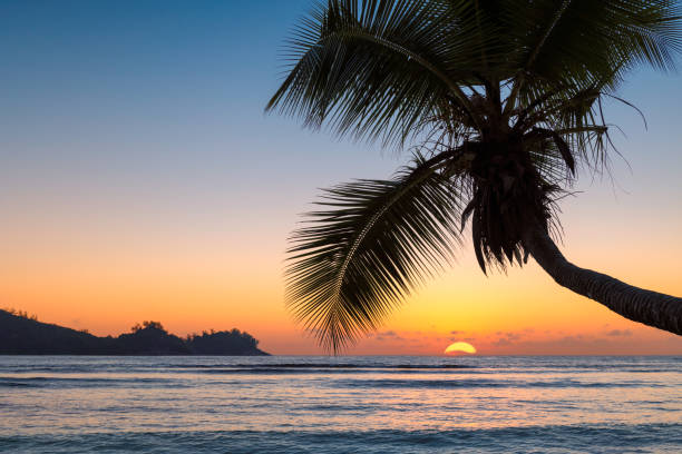 istock Tropical sunset on exotic island 1126610670