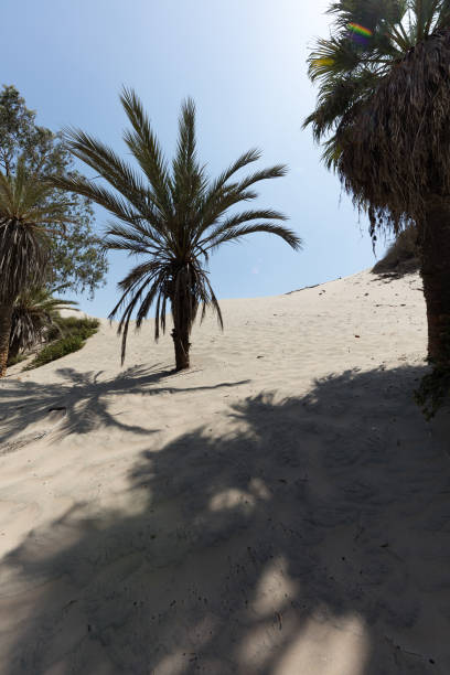 istock he Huacachina Oasis 1126613600