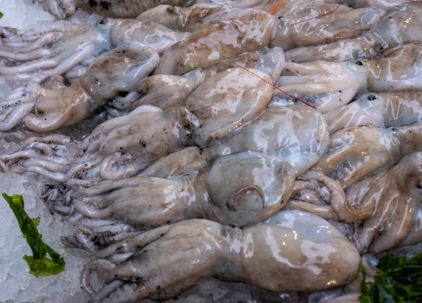 рыба на морском рынке - coryphaena стоковые фото и изображения