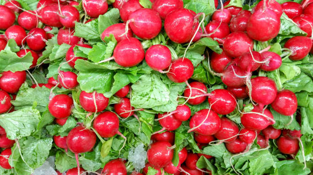 istock Multiple bunches of red radishes 1126614916