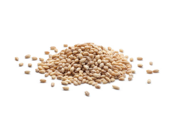 istock Pile of peeled barley 1126617845