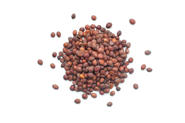 istock Dried jujube seeds (suan zao ren) 1126618681
