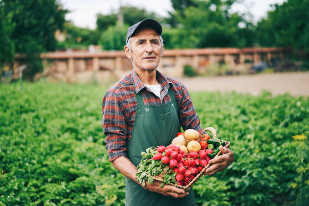 istock Farmer holding basket with vegetables 1126620155
