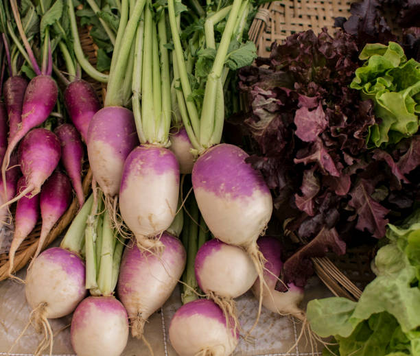 istock Healthy Foods on Background 1126621361