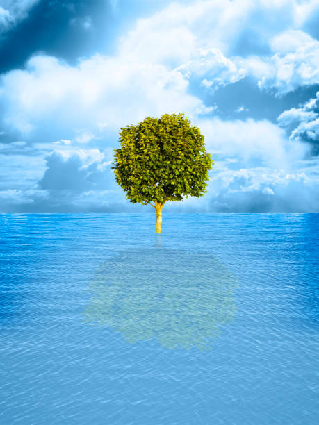 istock Isolated tree in a calm sea with dramatic sky on background - concept image with copy space 1126622636