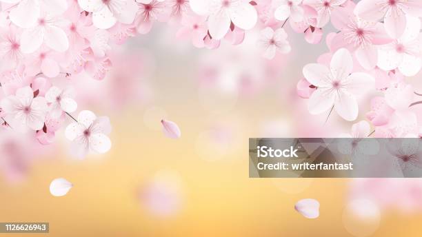 Beautiful Delicate Background With Blossoming Light Pink Sakura Flowers With Place For Text Delicate Floral Design Realistic Vector Illustration Stock Illustration - Download Image Now