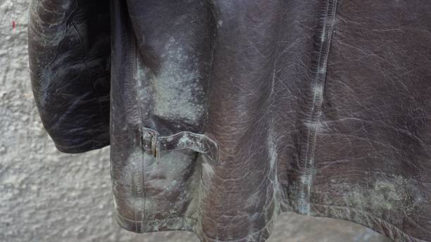 カビの生えた革のジャケット - black fungus ストックフォトと画像
