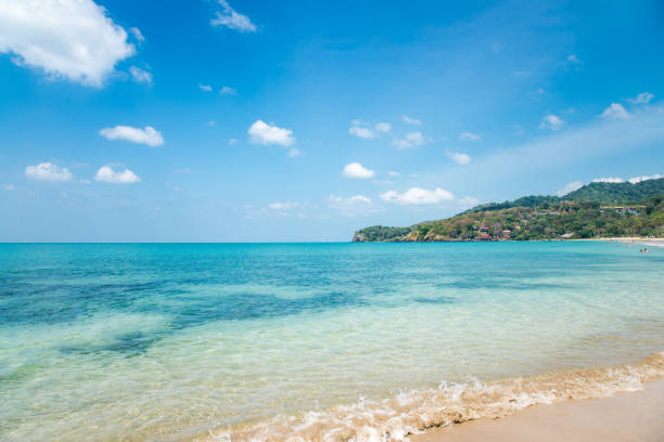 Beautiful tropical island bounty beach through green palm leaves on seaside and amazing blue cloudy sky white clouds, tropical nature with bounty beach and azure sea, travel destinations in Ko Lanta, Koh Lanta, Krabi province Thailand popular tourist destination isla tropical hermosa recompensa playa a través de hojas de palma verde junto al mar y las de nubes blancas azul cielo nublado de asombroso, naturaleza tropical con generosidad playa y mar azul, viajes destinos en ko lanta, koh lanta, provincia de krabi t