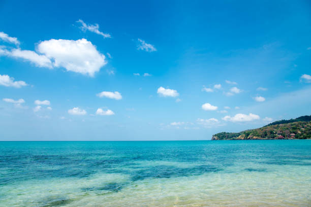 Beautiful tropical island bounty beach through green palm leaves on seaside and amazing blue cloudy sky white clouds, tropical nature with bounty beach and azure sea, travel destinations in Ko Lanta, Koh Lanta, Krabi province Thailand popular tourist destination isla tropical hermosa recompensa playa a través de hojas de palma verde junto al mar y las de nubes blancas azul cielo nublado de asombroso, naturaleza tropical con generosidad playa y mar azul, viajes destinos en ko lanta, koh lanta, provincia de krabi t