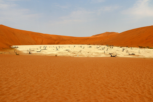 Desert landscape view in South Australia.