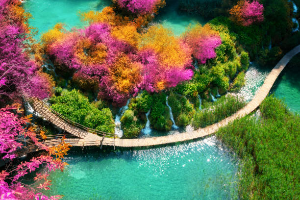 Beautiful wooden path trail for nature trekking with lakes and waterfall landscape in Plitvice Lakes National Park, UNESCO natural world heritage and famous travel destination of Croatia.