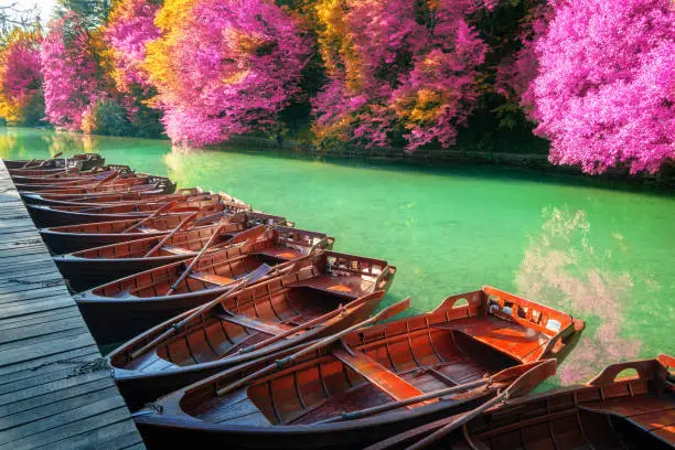 Boats parking at pier with turquoise lake landscape of Plitvice Lakes National Park, UNESCO heritage, famous travel destination of Croatia. The lakes are located in central Croatia (Croatia proper).