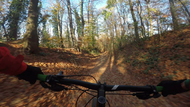 istock Riding a fast single trail in the forest 1126639403