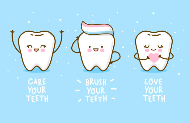 stockillustraties, clipart, cartoons en iconen met set van schattige kleine tanden - tanden