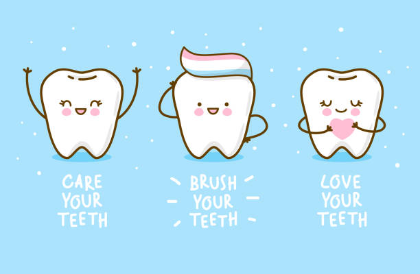 ilustrações de stock, clip art, desenhos animados e ícones de set of cute little teeth - small group of objects illustrations