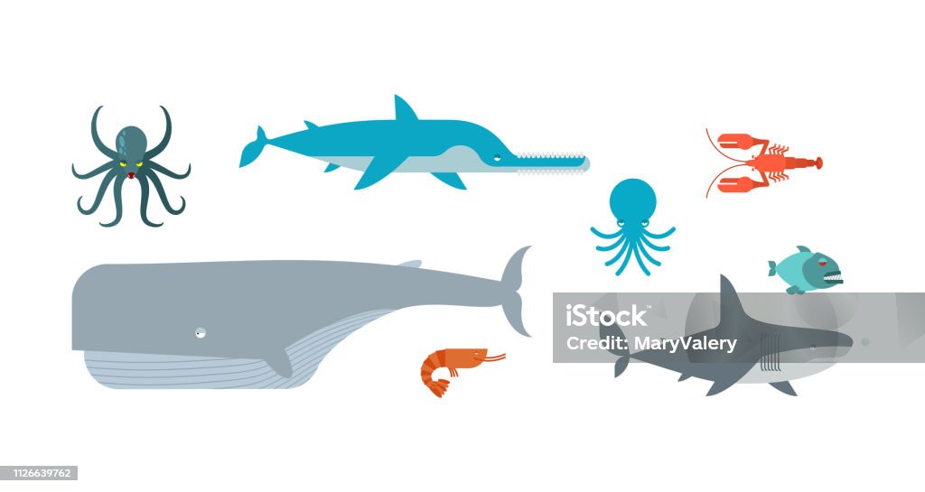 Underwater animals set. Fish saw and shark. Whale and octopus.Â Underwater animals set. Fish saw and shark. Whale and octopus.
Â Animal stock vector