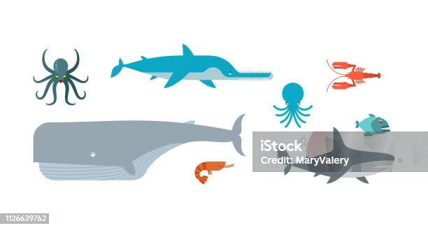 Underwater Animals Set Fish Saw And Shark Whale And Octopusâ Stock Illustration - Download Image Now