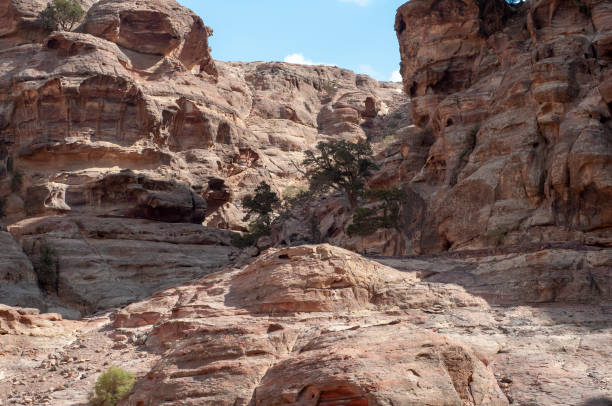 istock Ancient City of Petra, Jordan 1126640916