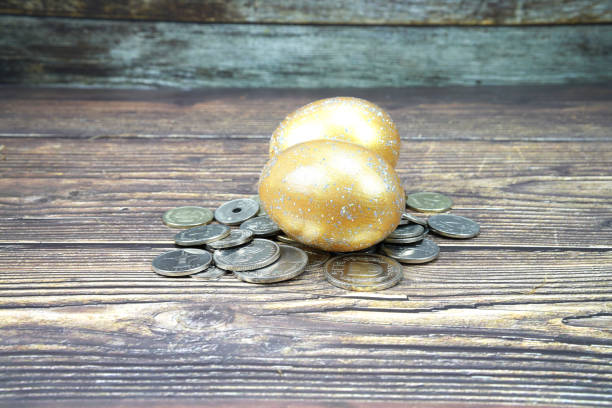 istock selective focus golden  eggs and gold on coin 1126644527