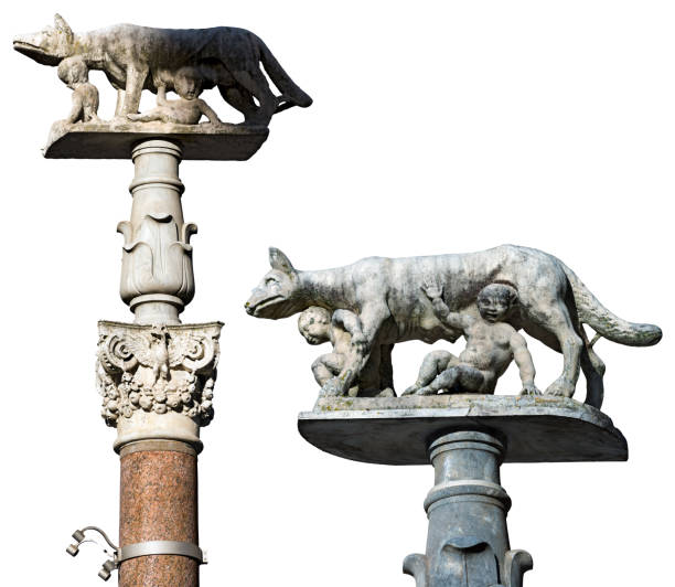 Lupa Senese isolated on white background - Wolf female with Senio and Ascanio, sons of Remo, founders of the city. Symbol of Siena, Tuscany, Italy, Europe