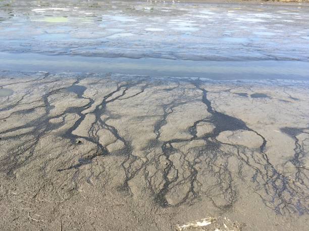 istock dirty muddy in country Thailand 1126645711
