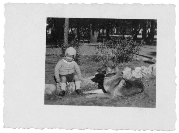 istock Two years old baby with his German sheperd in 1949 1126651044