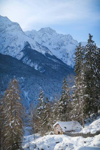 istock Winter wonderland in a forest in Switzerland 1126651136