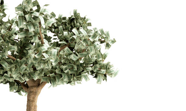 istock dollar tree with hundred dollar bills on white 3d illustration 1126653609