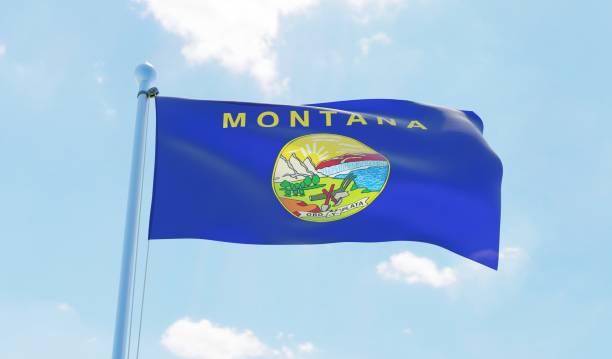 istock Montana (USA) flag waving against blue sky 1126656063
