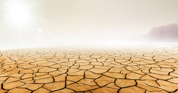 pył na suchej pustyni - dirt eroded nature abstract nature zdjęcia i obrazy z banku zdjęć