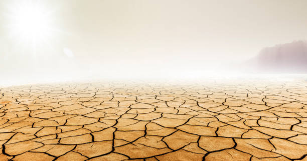 poeira no deserto seco - dirt eroded nature abstract nature - fotografias e filmes do acervo