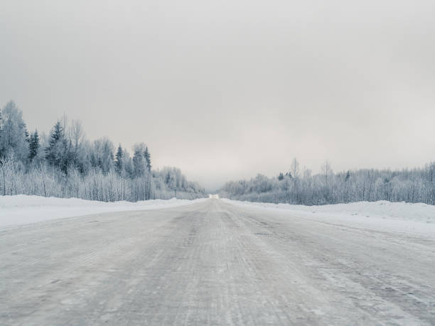 istock Winter road through the wild forest. 1126677062