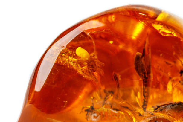 istock Macro Amber mineral stone with spider on white background 1126679071