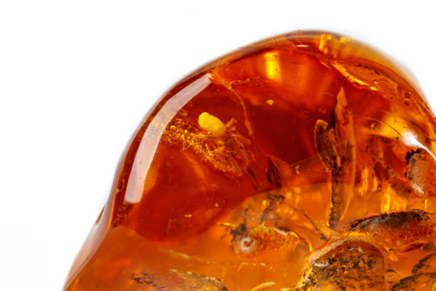 istock Macro Amber mineral stone with spider on white background 1126679195
