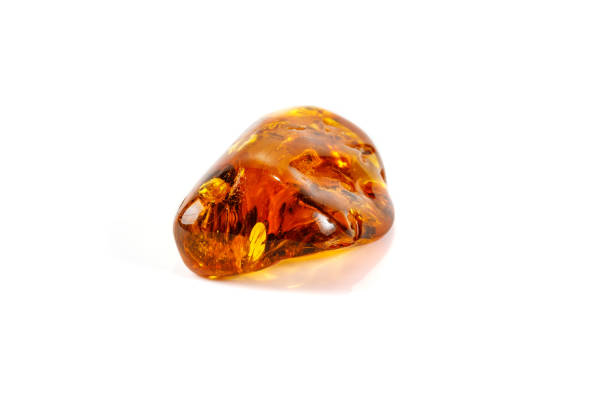 istock Macro Amber mineral stone with spider on white background 1126679227