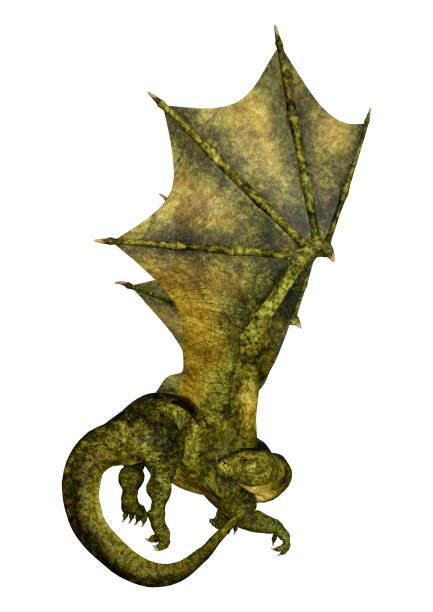 istock 3D illustration fantasy dragon on white 1126680729