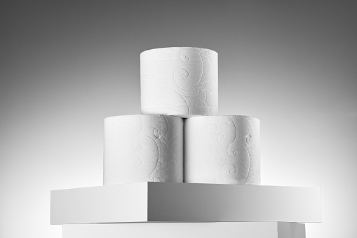 Soft white toilet paper rolls on white background. Elegant studio shoot with copy space