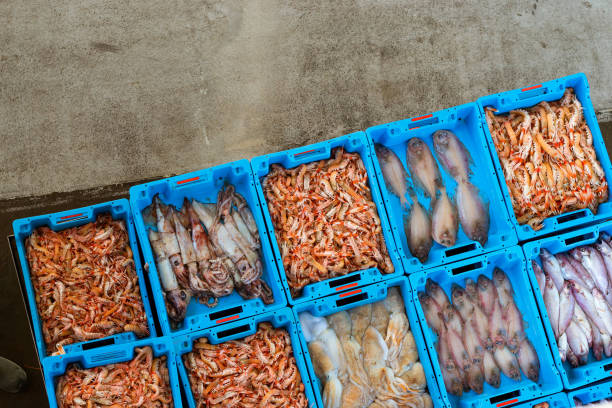 Blue plastic containers with catch of sea fish, shrimp, octopus, squid, sea delicacies. Fish auction for wholesalers and restaurants. Hangar for storage and sale of seafood. Blanes, Spain, Costa Brava